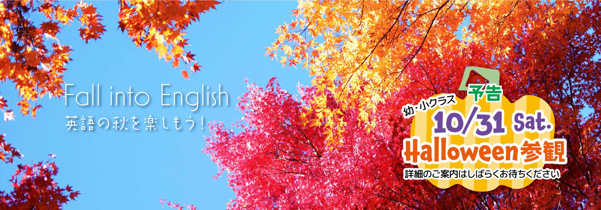 世界に翔け！本気の英語はECCつくばみなみ教室